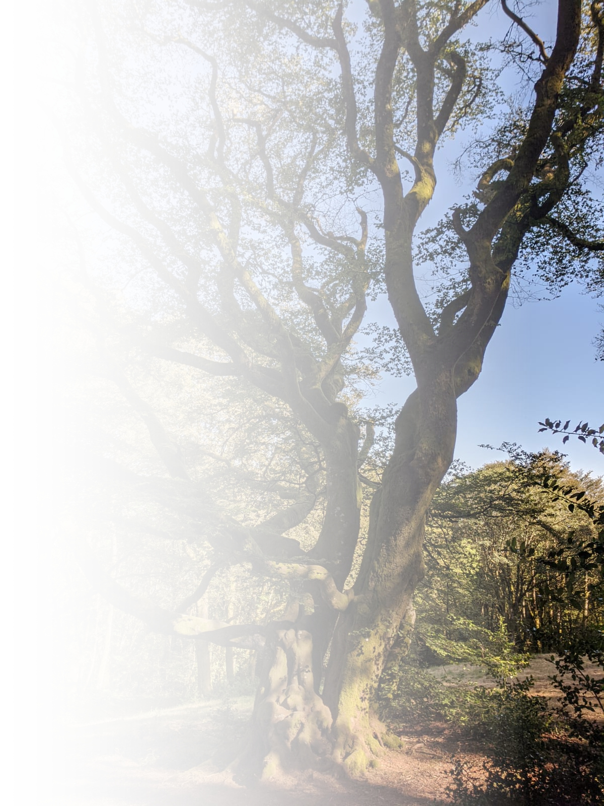 Claire Bastid Psychothérapeute - Château Chinon